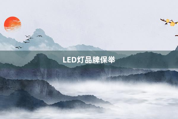 LED灯品牌保举