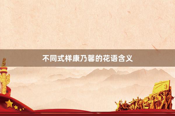 不同式样康乃馨的花语含义