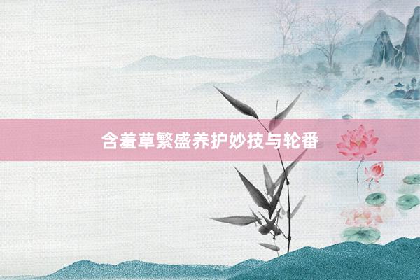 含羞草繁盛养护妙技与轮番