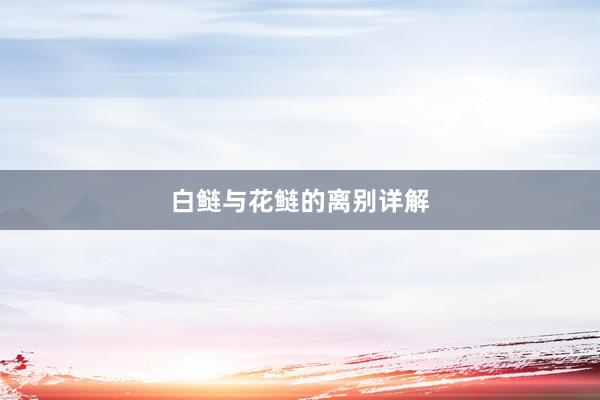 白鲢与花鲢的离别详解
